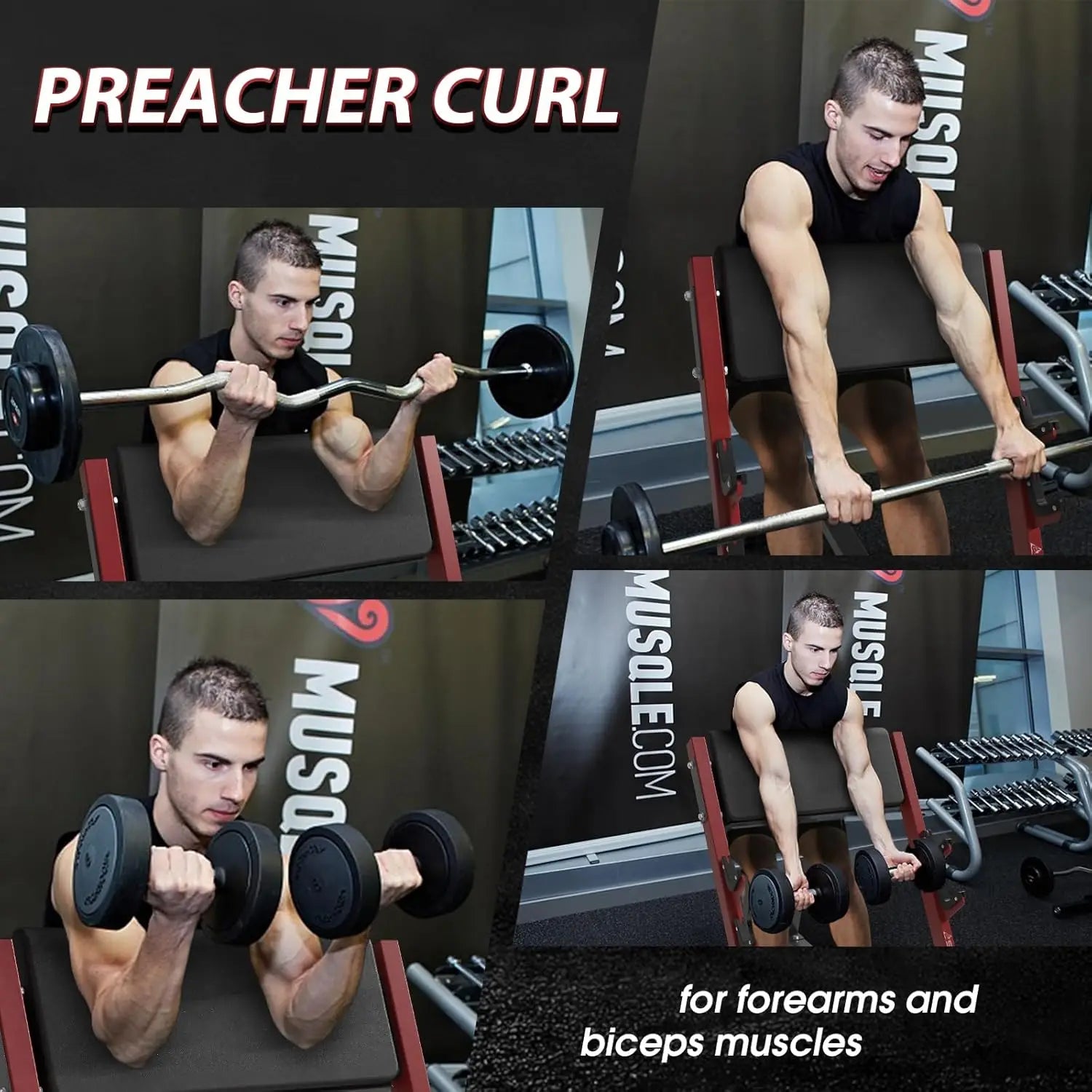 Preacher Curl Bench for Home Gym, Seated Arm Isolation with 2 Bar Holders, Adjustable Seat & Pad, Heavy Duty 400 lbs Capacity